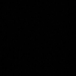 Meet your Posher, Noah